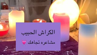 الكراش / الحبيب مشاعره تجاهك و ناوي علي ايه؟هل هيعترف / اختار كارت تاروت /التاروت بالعربيه Night Owl