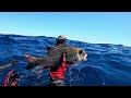 another incredible day spearfishing hawaii’s magical water updated catch u0026 cook