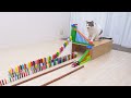 cats and domino 2