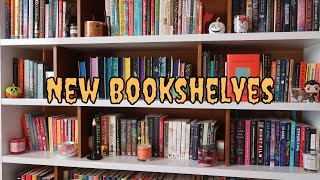 Building and Organizing My New Bookshelves