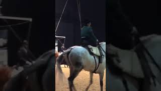 Best Wild Horses Mare Compilation of some Wild Horse Fights Video 75