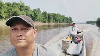 perjalanan balik kampung Marudi long takong & suasana kampung long takong