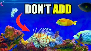 Best Saltwater Fish for Your Reef Aquarium: What to Add and Why