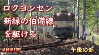 【午後編】EF64 1000番台貨物列車 新緑の伯備線を駆ける Part2