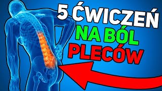 5 ĆWICZEŃ NA BÓL PLECÓW!