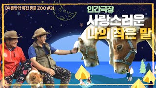 [인간극장 레전드] 여름방학 특집 뭉클ZOO #3 | 사랑스러운 나의 작은 말 (1-5부작) [KBS 211115-211119 방송]