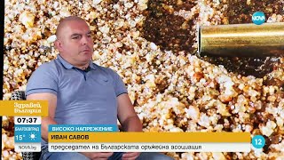 Скрита камера: Как минава един психотест за оръжие