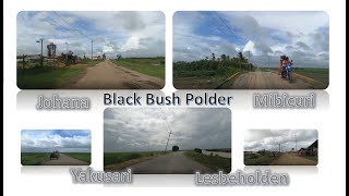 Black Bush Polder || Part 2