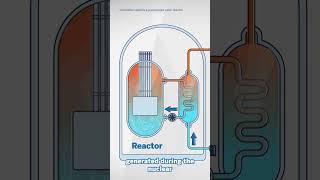 How Nuclear Power Plants Work