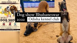 Dog show in Bhubaneswar🐶🐾 |Odisha kennel club|dog show 2022