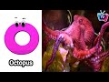 ABC Song | Sea Animals ABC Song | Phonics for Kids | Learn ABC, Baby | Alphabet Letters