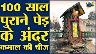 इस बेहद पुराने पेड़ के अंदर जो है उसे देखकर आपका दिल खुश हो जाएगा|Amazing Library in an old Tree