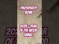 prosperity bowl 2025 wood snake👍