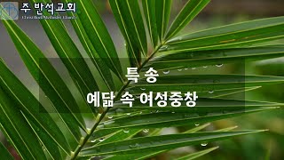 주 반석교회 03.24.2024 종려주일예배 특송: 예닮 속 여성중창