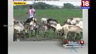 பொய்த்து போன பருவமழை | கடனை அடைக்க முடியாமல் விவசாயிகள் திணறல் |