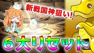 【パズドラ】6大リセット＆ランク700メモリアルガチャ初実装！戦国神とフェス限星6狙いで全て回します！！【ガチャ】