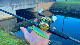 Fishing South Florida Ponds Is THIS Easy!