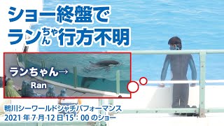 ショー終盤でランちゃん行方不明。そのわけは？【2021年7月12日15：00のショー】Orca performance, Kamogawa Sea World, Japan