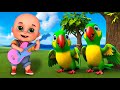 Five Little Parrots New Compilation | Five Little Birds | Nursery Rhymes and Kids Songs | Baby Bobo