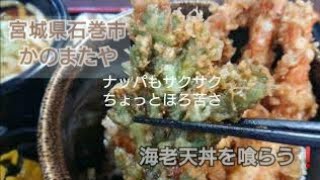 天丼を食らう❗石巻駅前 かのまたや