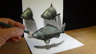 Drawing 3D Fishes Illusion - How to Draw Fishes in Three Dimension - Trick Art