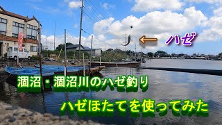 涸沼・涸沼川のハゼ釣り(マハゼ16匹、最長17センチ)(2023年9月18日)