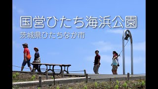 茨城県ひたちなか市 国営ひたち海浜公園