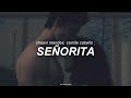 seã±orita ; shawn mendes, camila cabello | sub. espaã±ol/inglã©s
