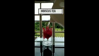 Benefits Of Hibiscus Tea