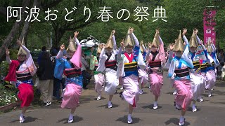 阿波おどり春の祭典・オープニング_20220501 Awaodori in Tokushima Japan 4K HDR