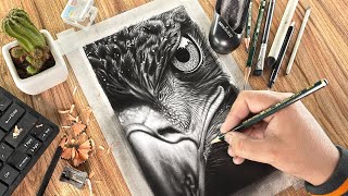 Step-by-Step Hyper Realistic Bird Eye!