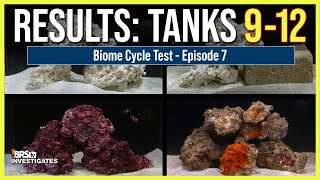 Ep: 7 Best Biome Cycle? Aquaforest Life Source vs. Real Reef vs. Gulf Rock vs. MarinePure Brick