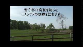 GRANDAME-JAPAN優勝馬のふるさと／ハクツ牧場（ミスシナノ号）