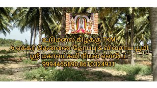 255) உடுமலை கிழக்கு 7KM 6 ஏக்கர் தென்னை தோப்பு \u0026 விவசாய பூமி |#srimahalakshmirealestate