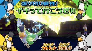 イキってゴリ押す根性＆張り切り型イキリンコ！ 全てのポケモンに輝きをシリーズ：イキリンコ編【ポケモンSV】