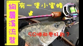 波爸釣魚趣-絢麗彩虹竿初登場 (台灣/路亞/溪釣/捲仔/何氏棘魞) (201809)