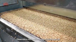 Continuous Peanut Roasting Machine/Groundnut Roasting Machine