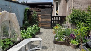 6月のポタジェガーデン/Hokkaido/Potager Garden Oasis