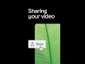 Sharing your video on mobile | Canva