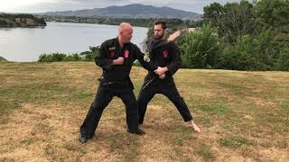 Knife hand strike to Throat by Zinjutsu Kung Fu