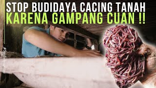 Budidaya Cacing Menjadi Opsi Terakhir, Ternyata Gampang Cuan dan Permintaan Tinggi