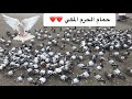 حمام الحرم المكي | ماشاء الله ❤️❤️