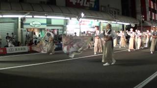 俄嘉屋　　～2014高知よさこい祭り本番2日目　升形