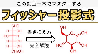 フィッシャー投影式　便利な立体化学の表記法