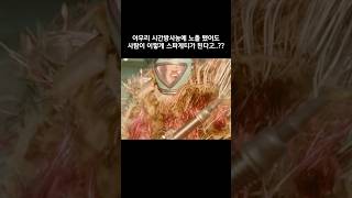 아무리 방사능에 노출됐어도 사람이 스파게티가 될 수 있어..? #마블 #로키