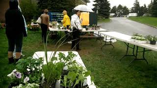 KCCRC Annual Plant Sale -46 Castlefrank Rd