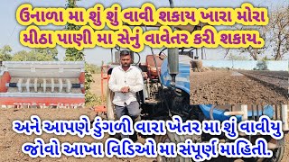 ડુંગળી વારા ખેતર મા શું વાવીયુ/અત્યારે શું વાવવું જોયે/ઉનાળા મા શું શું વાવી શકાય/ઉનાળા શું વાવવું