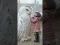 the owl loves to be petted