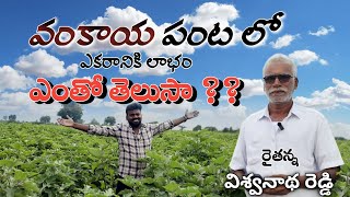 వంకాయ పంటలో ఎకరానికి దిగుబడి ఎంతో తెలుసా?? #vlogs #agriculture  #forming #eggplant #eggplantrecipe