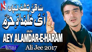 Ali Jee | Aye Alamdar E Haram | 2017 / 1439